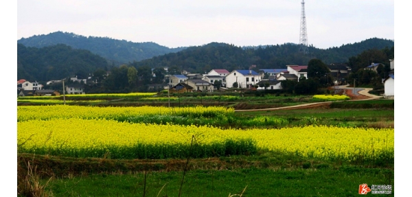 春華山村攜手美天共建美好家園